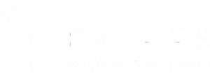 Logo Branco Briggs fire soluções em combate de incêndio